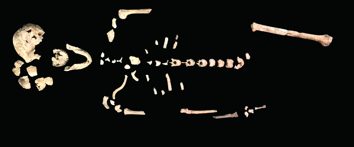 The Neo skeleton of Homo naledi from the Lesedi Chamber. ©Wits University/John Hawks
