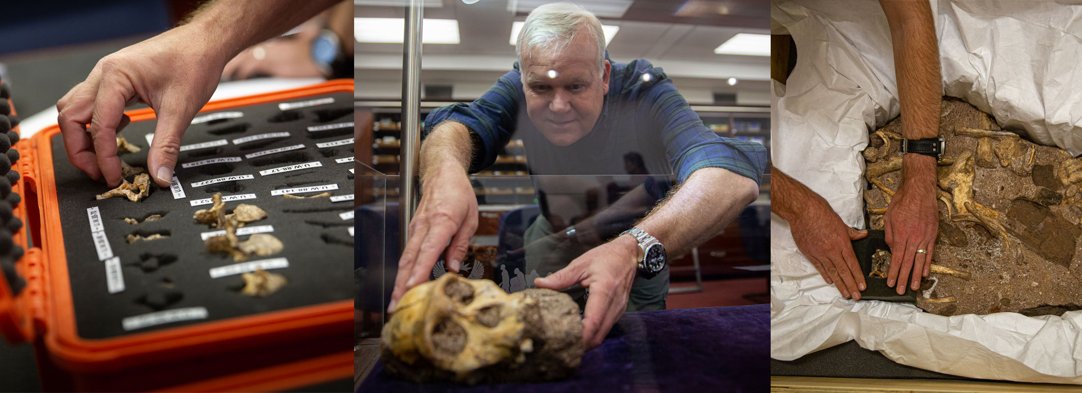 Professor Lee Berger, team leader of the Rising Star Expedition, who discovered the fossils.