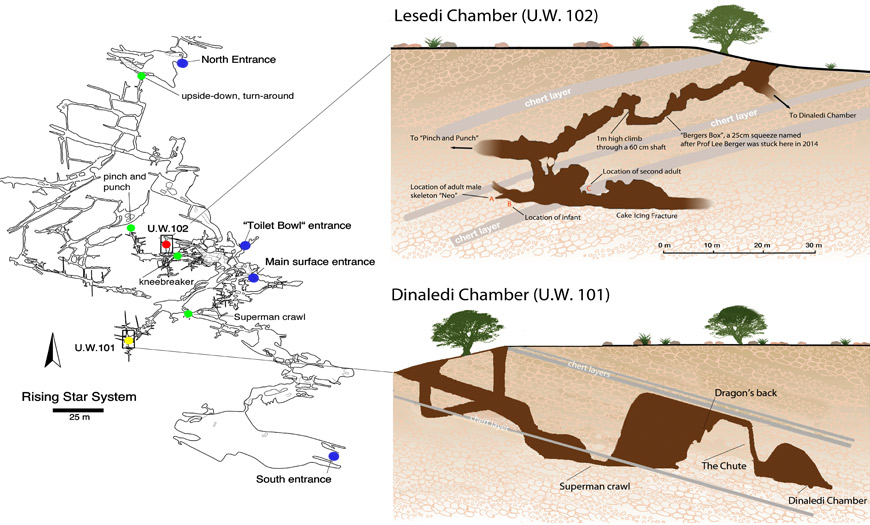 Schematic representation of the Rising Star Cave system. ©Wits University