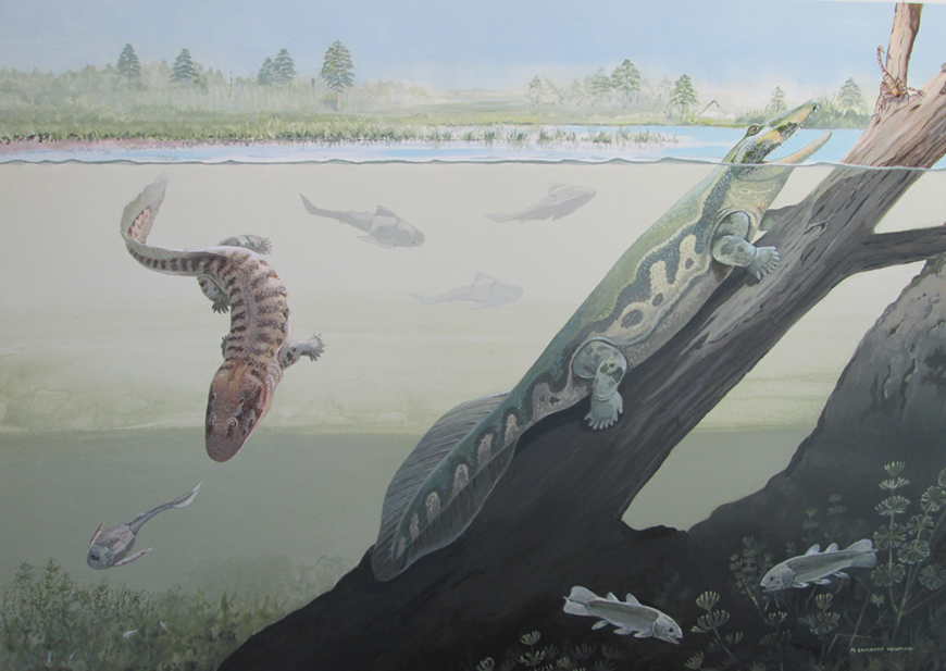 Artist impression of the Waterloo farm in the Devonian, including Tutusius and Umzantsia. Art by Maggie Newman. 