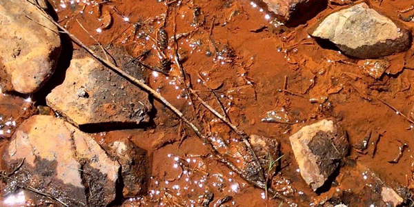 Dr Brian House presents his installation Acid Love, an artistic digital exploration of Acid Mine Drainage, at the Watershed and Fak'ugesi Festivals at Wits