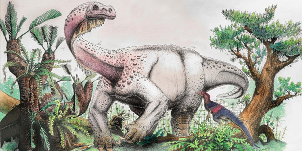 The Highland Giant: Artist Viktor Radermacher’s reconstuction of what Ledumahadi mafube may have looked like. Another South African dinosaur, Heterodontosaurus tucki, watches in the foreground. Copyright Viktor Radermacher