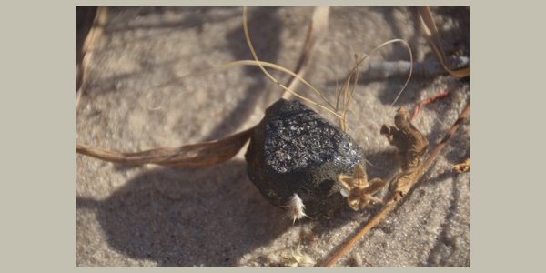 Meteorite from asteroid 2018 LA where it was found in Botswana.