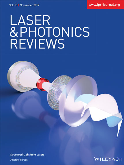 Wits researchers, including Professor Andrew Forbes, prove the long-held theory by making the first direct observation of fractal light from lasers.