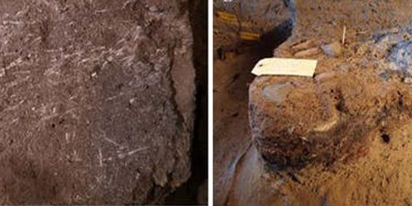 A: Border Cave’s 200,000 year old fossilised grass fragments. B: The profile section of desiccated grass bedding dating to around 43,000 years ago. Both images copyright Lyn Wadley