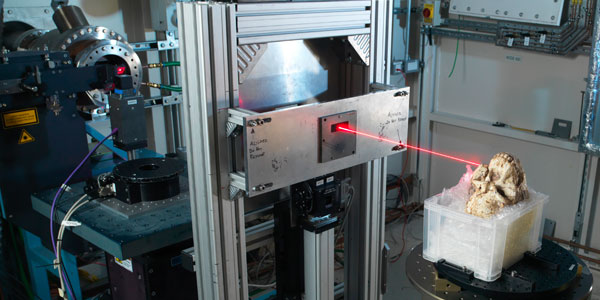 Little Footfossil skull in Diamond’s beamline I12. Credit: Diamond Light Source Ltd