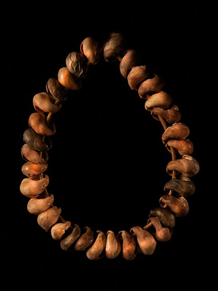 Origin of early sapiens behaviour opens at Origins Centre
