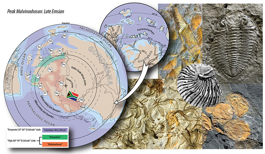 Disasters on South Africa's coast line led to massive extinctions.