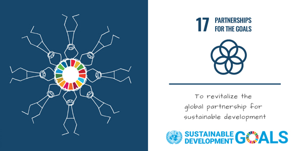 Sustainable Development Goal 17