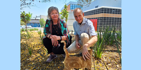 Helen Donovan and Paul Den Hoed are part of staff volunteers looking after the campus cats. Helen Donovan and Paul Den Hoed are part of staff volunteers looking after the campus cats.