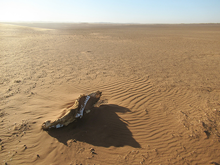 Professors Dominic Stratford and George Leader trekked across the Namib desert in search of archaeological sites. Picture: NS90