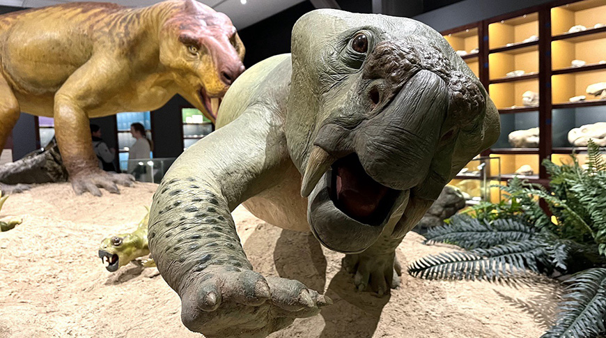 The new Karoo Origins fossil centre opens in Graaff-Reinet.