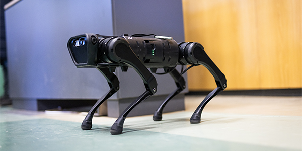 Bots with brains: Wits robotics goes underground