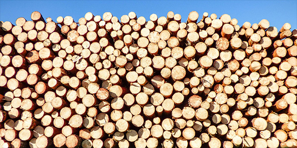 New global index proposed to manage natural resources more sustainably