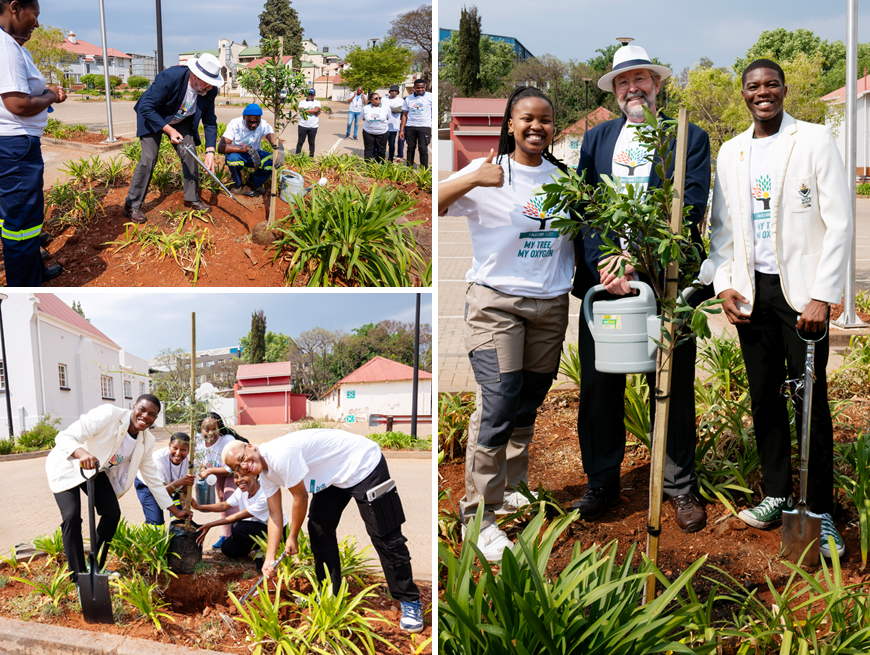 Wits is committed to sustainability and climate action