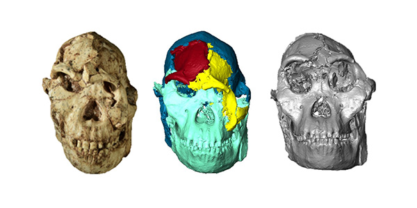 Little Foot gets a virtual facelift 