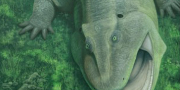 Strange 275 million-year-old plant-eater with twisted jaws found in Brazil