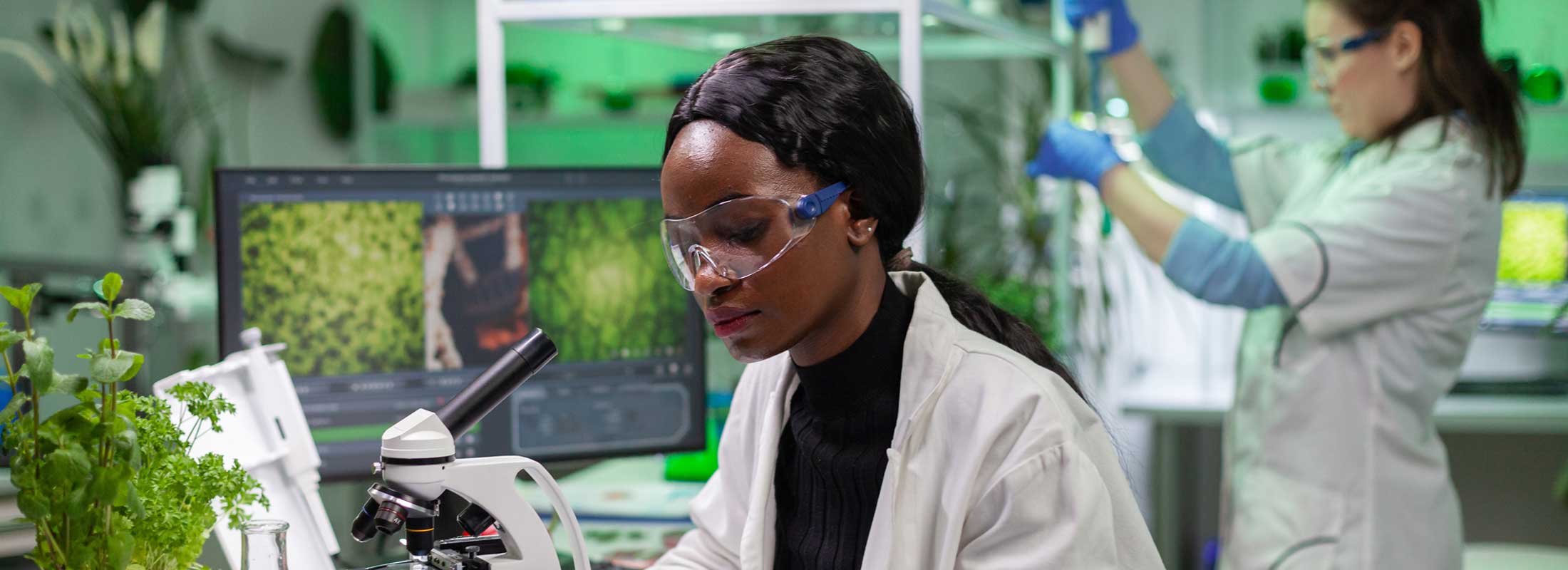 Researchers in laboratory