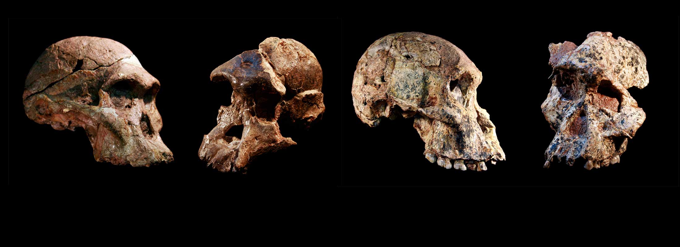 Famous Sterkfontein Caves fossils 1 million years older than previously thought
