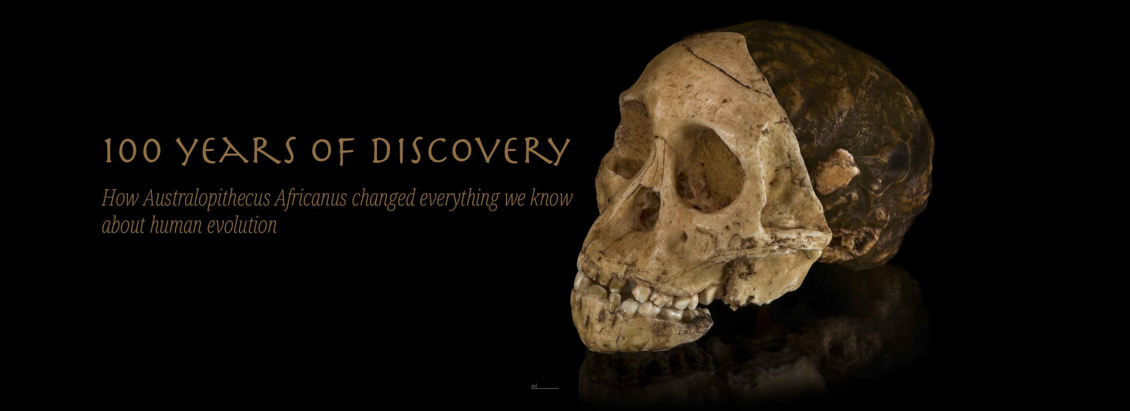 The Taung Child