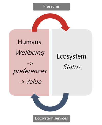 Diagram showing relationship between the pressure on aquatic systems, ecosystem services and human wellbeing