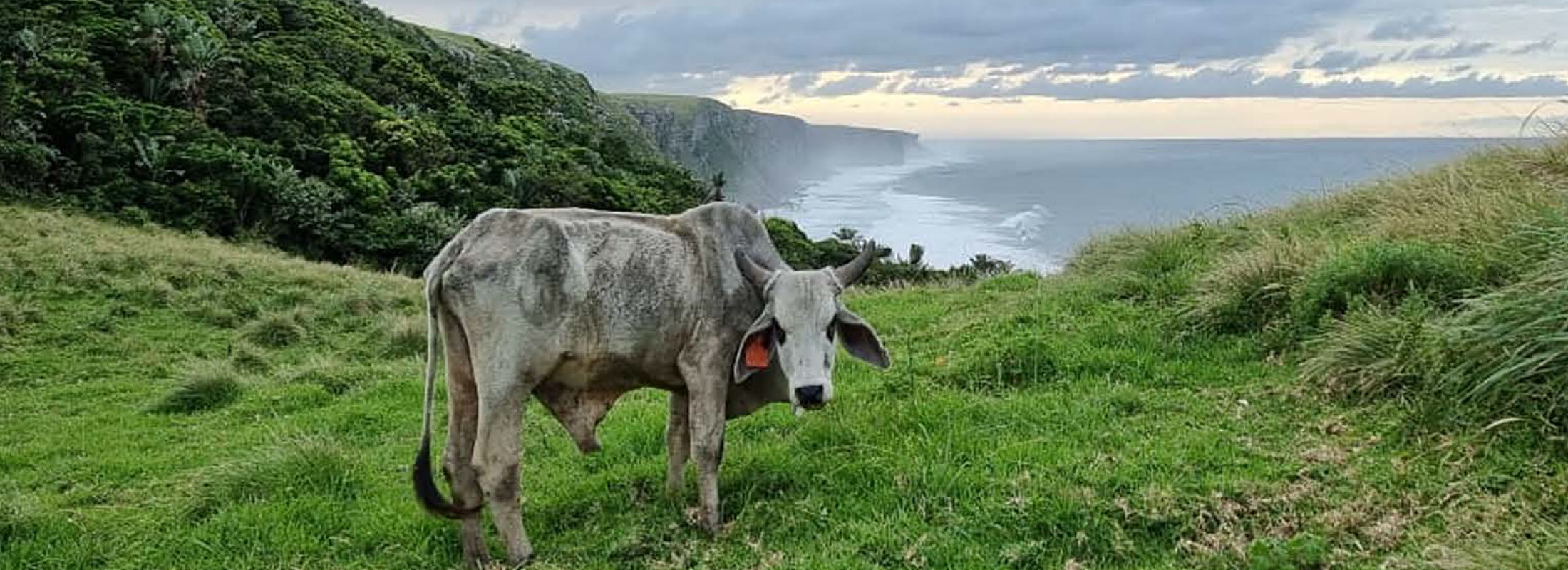 Wild Coast photo Maryke Jonsson