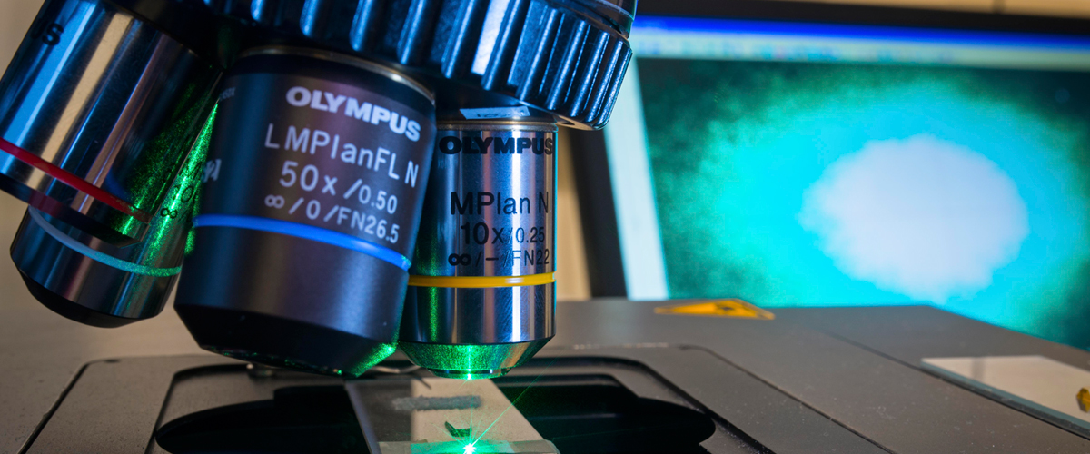 Raman Spectrometer