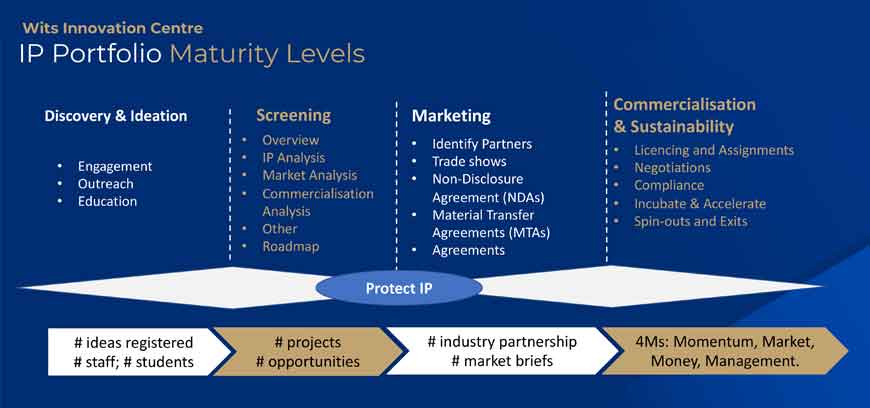 IP portfolio maturity levels