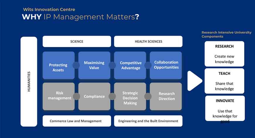 Why IP management matters