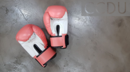 A pair of boxing gloves