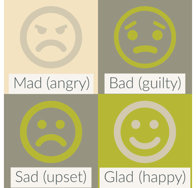 Primary emotions infographic