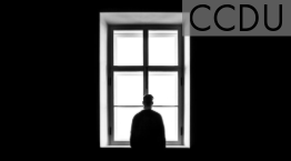 Image of person with back to camera looking out of window