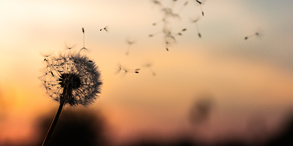 Photo by Dawid Zawila on Unsplash