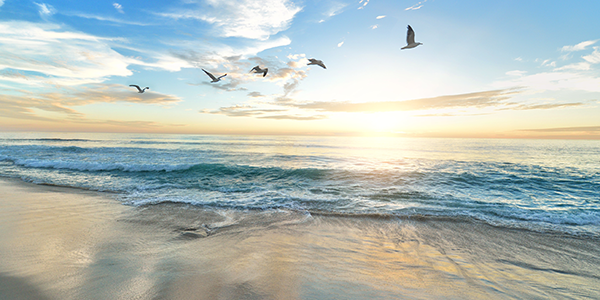 Photo by Frank Mckenna on Unsplash