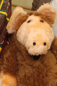 Alf aka Mr Wu