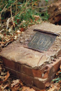 EOH plaque