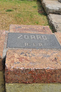 RIP Zorro